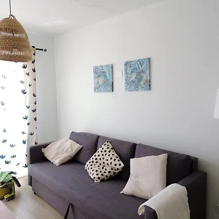 Mi Lugar Ftv 科拉雷侯